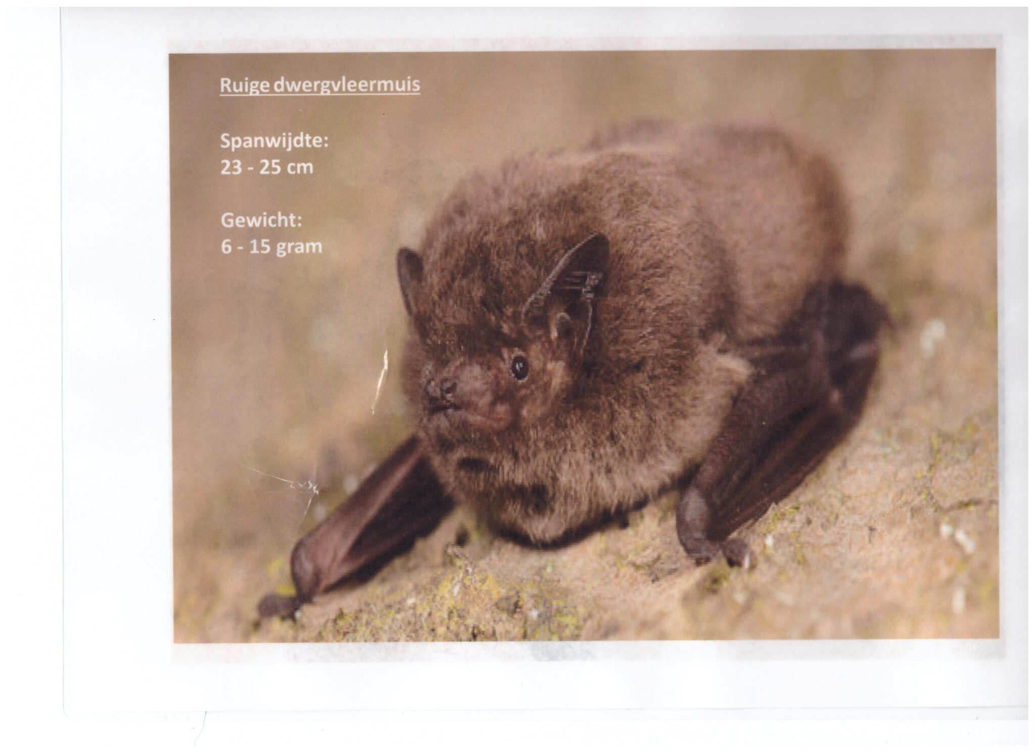 15oktober2025-lezing-5